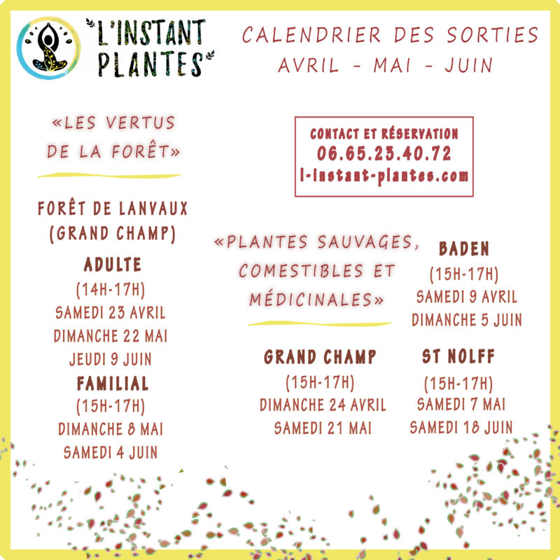 calendrier avr juin