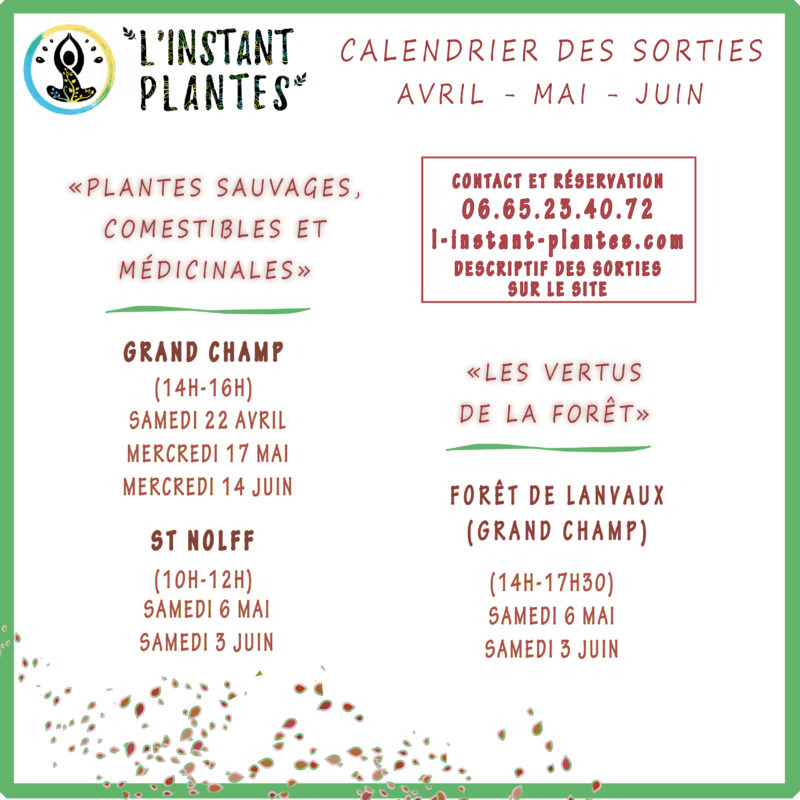 calendrier avr juin 2023