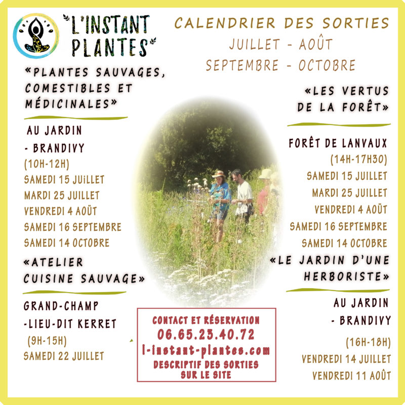 calendrier juillet octobre 2023
